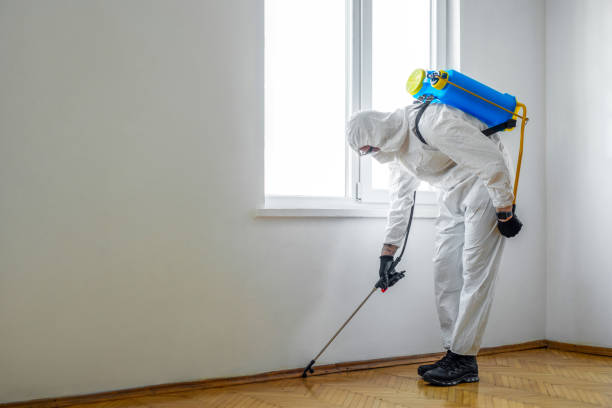 Professional Pest Control in Lake Station, IN